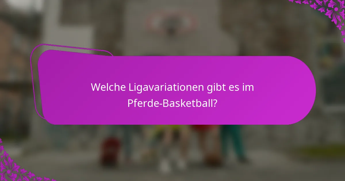 Welche Ligavariationen gibt es im Pferde-Basketball?