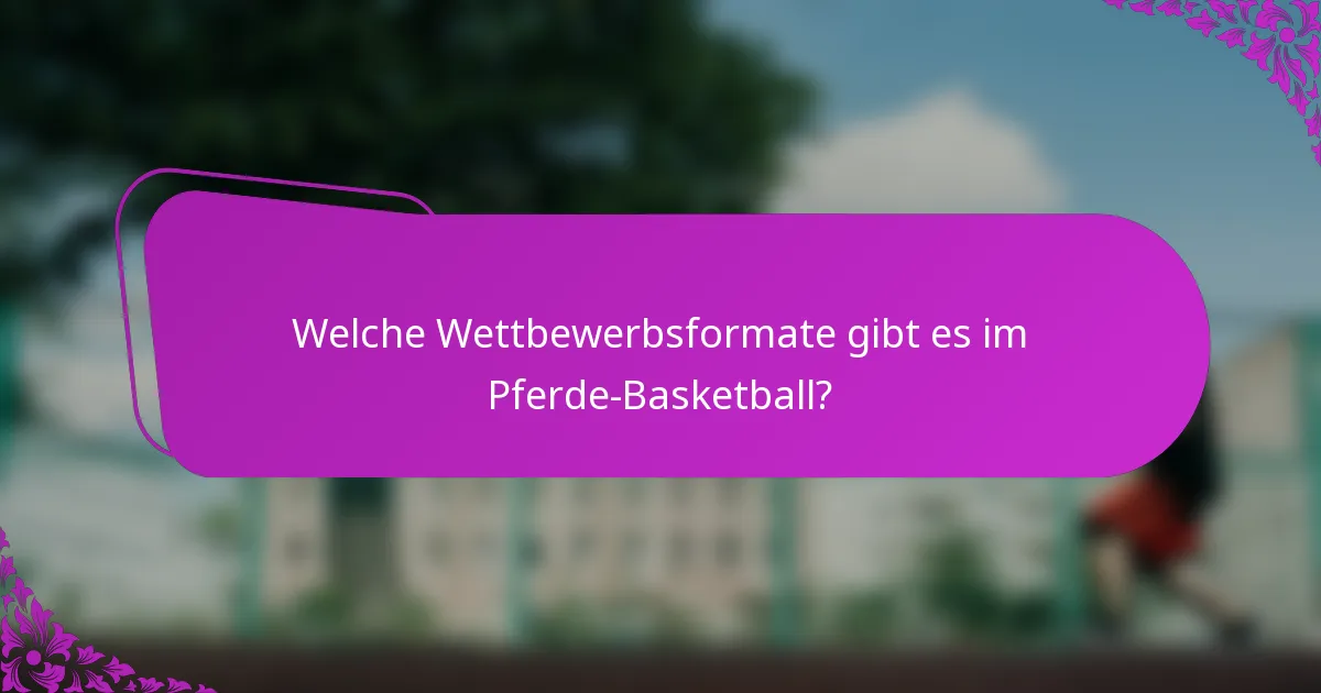 Welche Wettbewerbsformate gibt es im Pferde-Basketball?