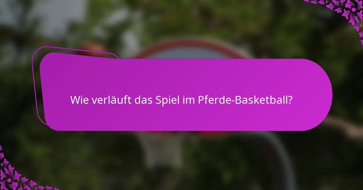 Wie verläuft das Spiel im Pferde-Basketball?