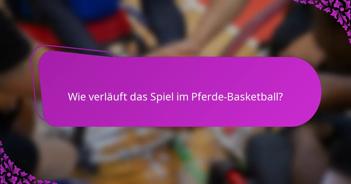 Wie verläuft das Spiel im Pferde-Basketball?